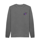 Slate Grey Mens Cartoon Character Flying V Sweater